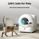 Капсула нейтрализатор запаха в автоматический туалет PETKIT Pet Odor Eliminator N60 |3 капсулы, аромат свежего жасмина, до 60 дней непрерывного действия, эффективно нейтрализует стойкие запахи| - изображение 4