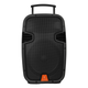 Акустична система JBL Clarity MAX15MBAW-U - зображення 1