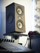 Студийный монитор Focal Shape Twin - изображение 5