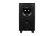 Студийный монитор Adam Audio Sub10 Mk2 - изображение 1