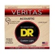 Струни для акустичної гітари DR Strings Veritas Coated Core Acoustic Guitar Strings - Custom Light (11-50) - зображення 1