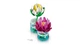 Конструктор LEGO Botanicals Кувшинка (11511) - изображение 7