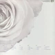 Вінілова платівка Depeche Mode - The Best Of Depeche Mode Vol.1 - изображение 2