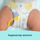Підгузки Pampers Premium Care Розмір 6 (13-18 кг) 116 шт (8006530223744) - зображення 7