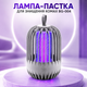 Лампа для уничтожения насекомых аккумуляторная BG-004 - изображение 1
