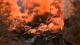 Игра Horizon Zero Dawn Complete Edition для PS4 (Blu-ray диск) RUS Б/У - изображение 2