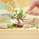 Игровой набор MGA's Miniverse Nature 3 Создай мир природы с миниатюрными растениями - изображение 8