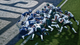 Гра PS5 EA Sports Madden NFL 27 (Blu-ray диск) (5030936125558) - зображення 4