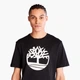 Футболка из хлопка Timberland a27j8p47 XL черная (100011977) - изображение 2
