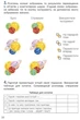 НУШ 4 класс Информатика Рабочая тетрадь к учеб. Козак Л.З. - изображение 3