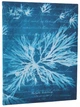 Notatnik Paperblanks Anna Atkins – Kwiaty morskie 18 x 23 cm 176 stron w linie (9780349713656) - obraz 1