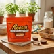 Шоколаді цукерки Reese's Marshmallow Peanut Butter Cups 265г - зображення 5