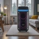 Акустическая колонка караоке ZXX 80 Вт Bluetooth TWS с беспроводным микрофоном, пультом ДУ, FM-радио, USB, TF, LED подсветкой, аккумуляторная портативная колонка 2х8" (ОZ56-XXZ) - изображение 1