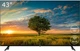 Телевізор Vinga 43" S43FHD25B - зображення 1