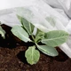 Агроволокно белое укрывное Greentex R30 1.6×10 м, 30 г/м² — защита растений от заморозков, солнца и вредителей - изображение 7