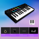 MIDI-клавіатура TERENCE з 25 клавішами, професійна, 500 мАг, 8 RGB-педів - изображение 5