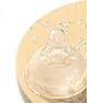 Пляшечка Evorie Baby Bottle PPSU з широким горлом 160 мл графітового кольору (0-3 місяці+) - зображення 2