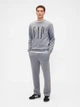 Спортивные штаны утепленные мужские Gap 171096743 2XL Серые (1159864335) - изображение 3