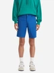 Шорты хлопковые короткие мужские Levi`s 300890553 42 Синие (1159864589) - изображение 1