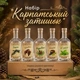 Подарочный набор для настоек «Карпатский уют» 5 бутылок по 500 мл в подарочной коробке - изображение 1