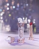 Глянцевая помада от Flower Knows Knight Unicorn Glazed Lipstick (U08 Crimson Agate) - изображение 5