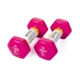 Гантели для фитнеса с виниловым покрытием Gemini Sport GSD-2.0PINK 2 шт, по 2 кг, розовые - изображение 2