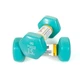Гантели для фитнеса с виниловым покрытием Gemini Sport GSD-1.5CYAN 2 шт, по 1.5 кг, голубые - изображение 1