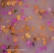 Жидкий гель с сухоцветами Saga Liquid Floral Gel №06 молочный 15 мл - изображение 2