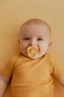 Соска пустушка Bibs Colour 0-6 міс Pale Butter - зображення 4
