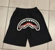 Мужские шорты Bape, черный, размер L (MST0000681) - изображение 1
