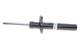 Амортизатори BILSTEIN 22151056 Volkswagen Passat, CC; Skoda Superb 1T0413031AS, 1T0413031BA, 1T0413031BB - зображення 1