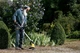 Садовый триммер аккумуляторный Karcher WRE 18-55 для устранения сорняков, 18В, 285 кг, без аккумулятора и зарядного устройства - изображение 2
