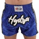 Шорты для тайского бокса и кикбоксинга синие Fairtex Hydra 324 размер XL (50-52) - изображение 1