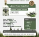 Джин HVOYA Carpathian 0.5 л 45% в подарочной упаковке (4820269299535) - изображение 3