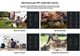 Портативная зарядная станция FOSSiBOT F-1200 1200W 1024Wh LiFePO4, BMS, UPS, MPPT 200W max, XT60-12V/30А - изображение 6