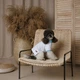 Футболка для собак Pet Fashion Polo біла розмір XXS - зображення 5