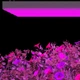 Подвесной светодиодный фитосветильник X-LED 100 Вт серый (400x240x43) - изображение 3