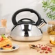 Чайник A-PLUS со свистком 3.0 л (1317-WK) - изображение 5