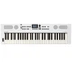 Синтезатор Roland GO:Keys 5 WH - изображение 2