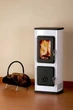 Печь камин отопительная Thorma Verona White - изображение 3