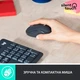 Комплект Logitech MK295 Silent UA Graphite (920-009800) - зображення 4