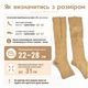 Гольфи компресійні для профілактики варикозу Zip Sox, еластичні стягуючі з блискавкою для зняття набряків і втоми ніг, покращення кровообігу, розмір L/XL, 2 шт Бежеві LY-105-L/XL-Beige - зображення 4