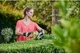 Кусторез Ryobi RHT4550 450Вт, шина 50см - изображение 2