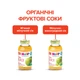 Яблочно-виноградный сок HiPP 200 мл (9062300102472) - изображение 7