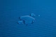 Килимок для йоги та фітнесу Power System PS-4017 NBR Fitness Yoga Mat Plus Blue (180х61х1) - зображення 2