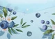 Набор папок-конвертов Buromax Blueberry Arabeski А4 на кнопке 12 шт (BM.3943-17) - изображение 2