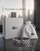 Чоловічий браслет Lacoste зі сталі сріблястий регульована прикраса на руку з крокодилом у подарунковій коробці - зображення 2