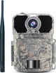 4G фотопастка KeepGuard KW896 (36Mp, 2K) (1439) - зображення 1