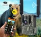 4G фотоловушка KeepGuard KW897 (36Mp, 2K) (1438) - изображение 4