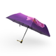 Жіноча парасоля-автомат Rain Flowers 9 спиць карбон подарункова упаковка R01070F9 - зображення 6